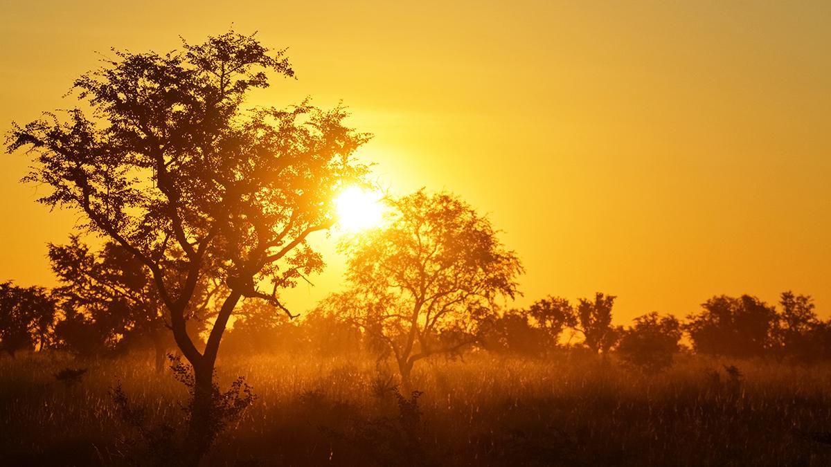 Впервые в истории ученые присвоили имя тепловой волне – Техно Впервые в истории ученые присвоили имя тепловой волне – Техно