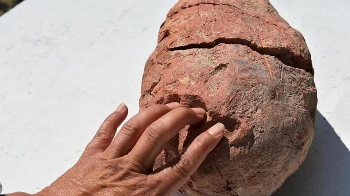 У турецькому кургані знайшли древню майстерню з виробництва кераміки - Техно У турецькому кургані знайшли древню майстерню з виробництва кераміки - Техно