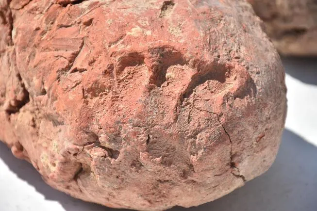 Відбитки пальців, знайдені в глині з кургану Улуджак Хююк