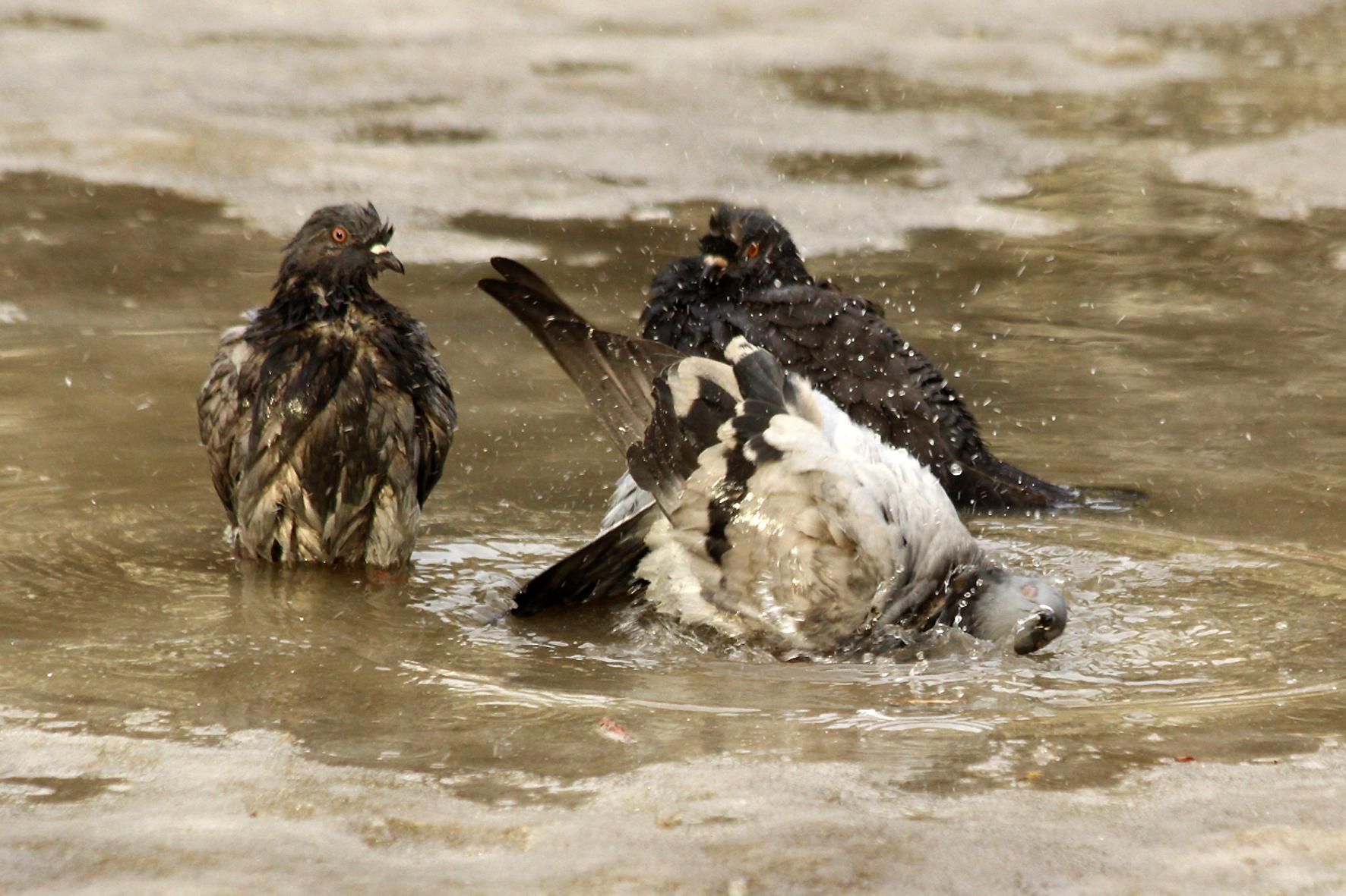 Прогноз погоды в Украине на 25 августа - будет ли и дальше жара Прогноз погоды в Украине на 25 августа - будет ли и дальше жара
