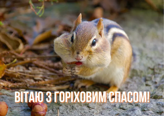 картинки с ореховым спасом картинки с ореховым спасом