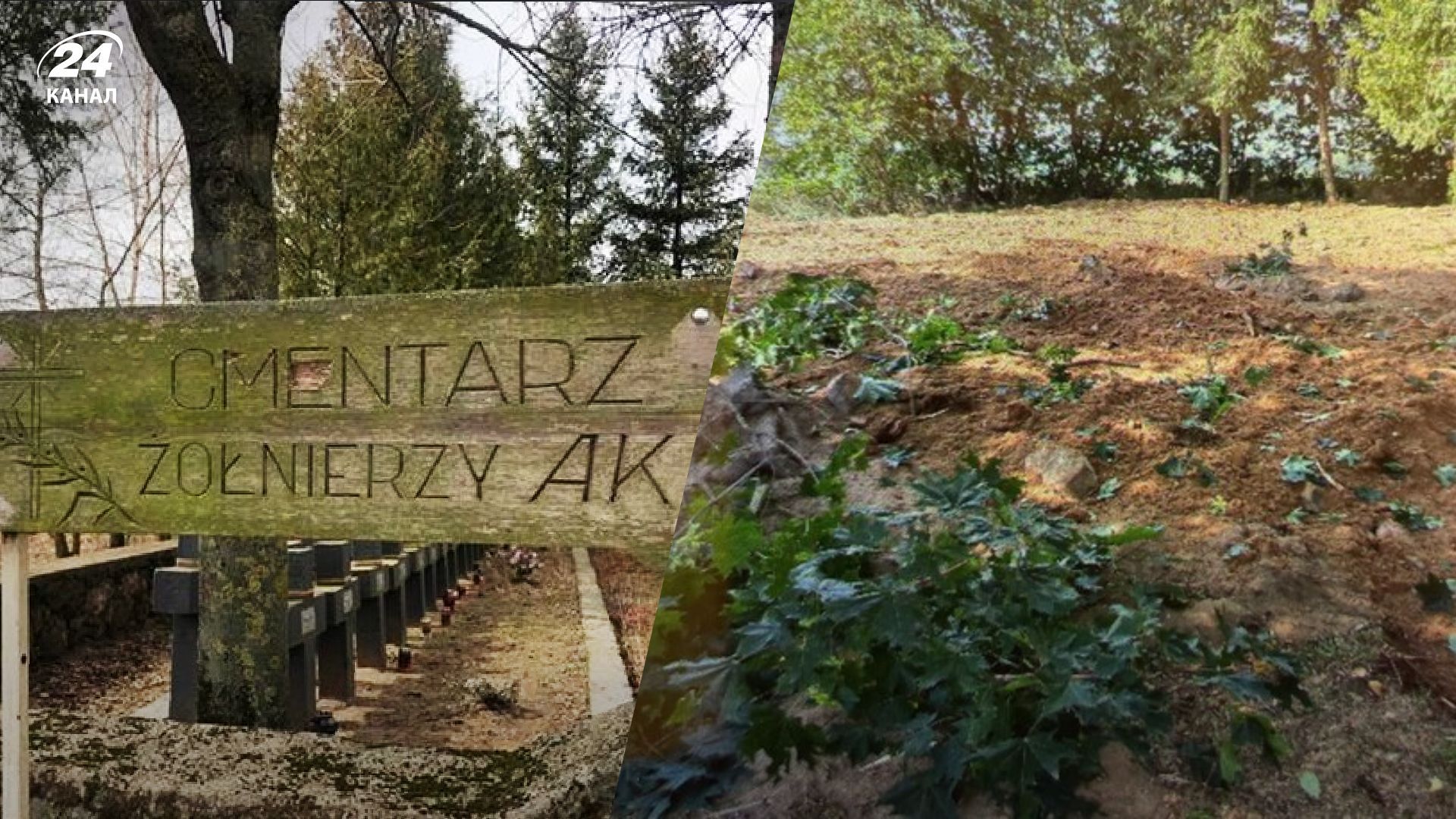 В Беларуси уничтожают Кладбище Армии Краевой - 24 Канал В Беларуси уничтожают Кладбище Армии Краевой - 24 Канал