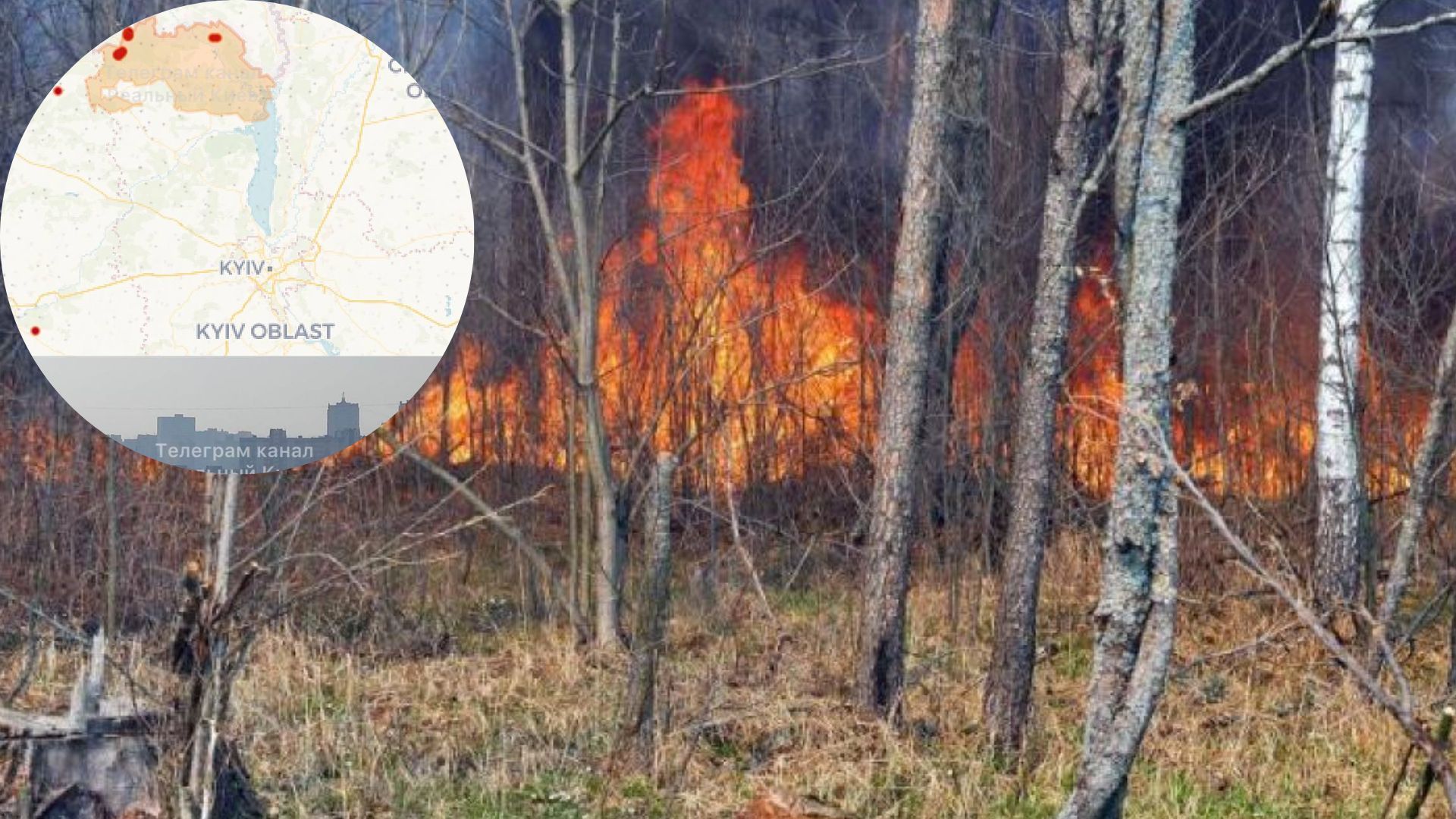 В Чернобыле пожар, запах гари дошел до Киева