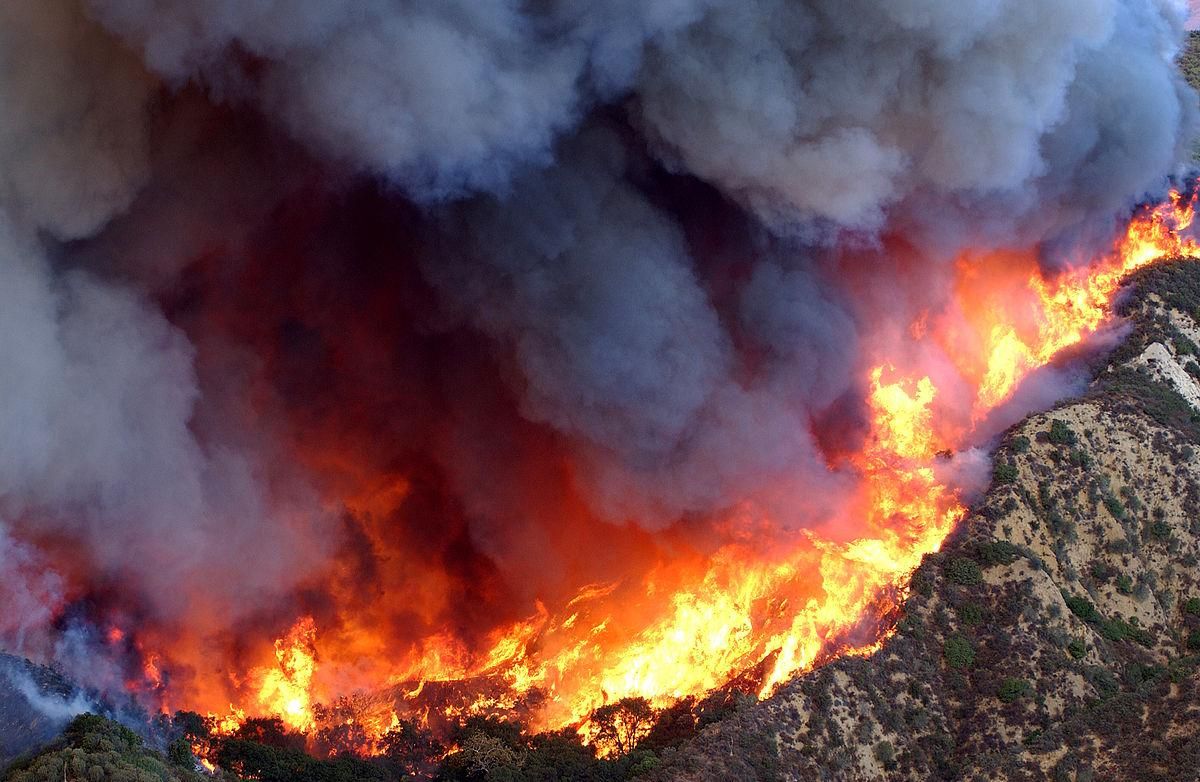 Пожежа на Івано-Франківщині - як рятувальники приборкують пожежу лісництва
