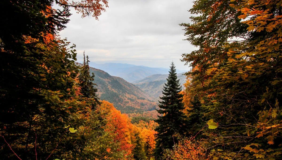 Выходные сентября 2022 Выходные сентября 2022