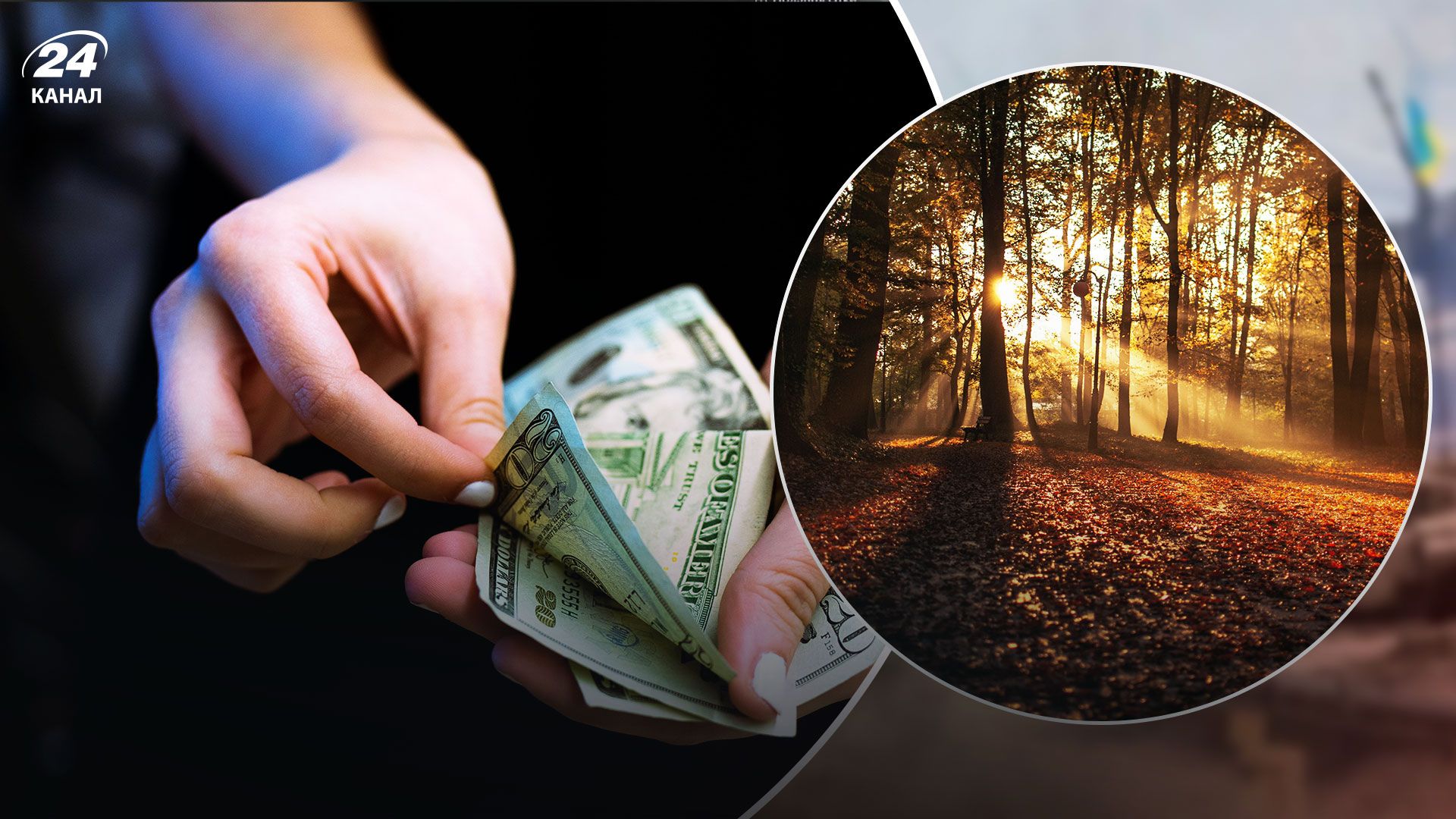 Що буде з доларом восени 2022 року – від чого залежатиме курс Що буде з доларом восени 2022 року – від чого залежатиме курс