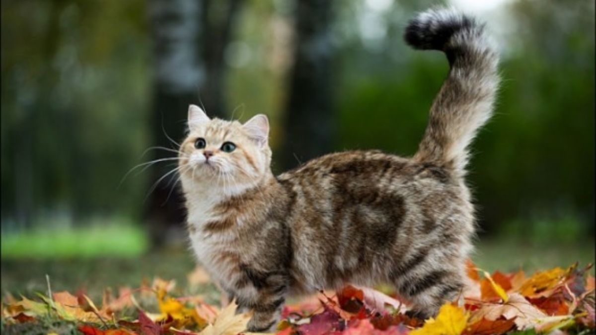 Погода в Украине 2 сентября 2022 - что прогнозируют синоптики Погода в Украине 2 сентября 2022 - что прогнозируют синоптики