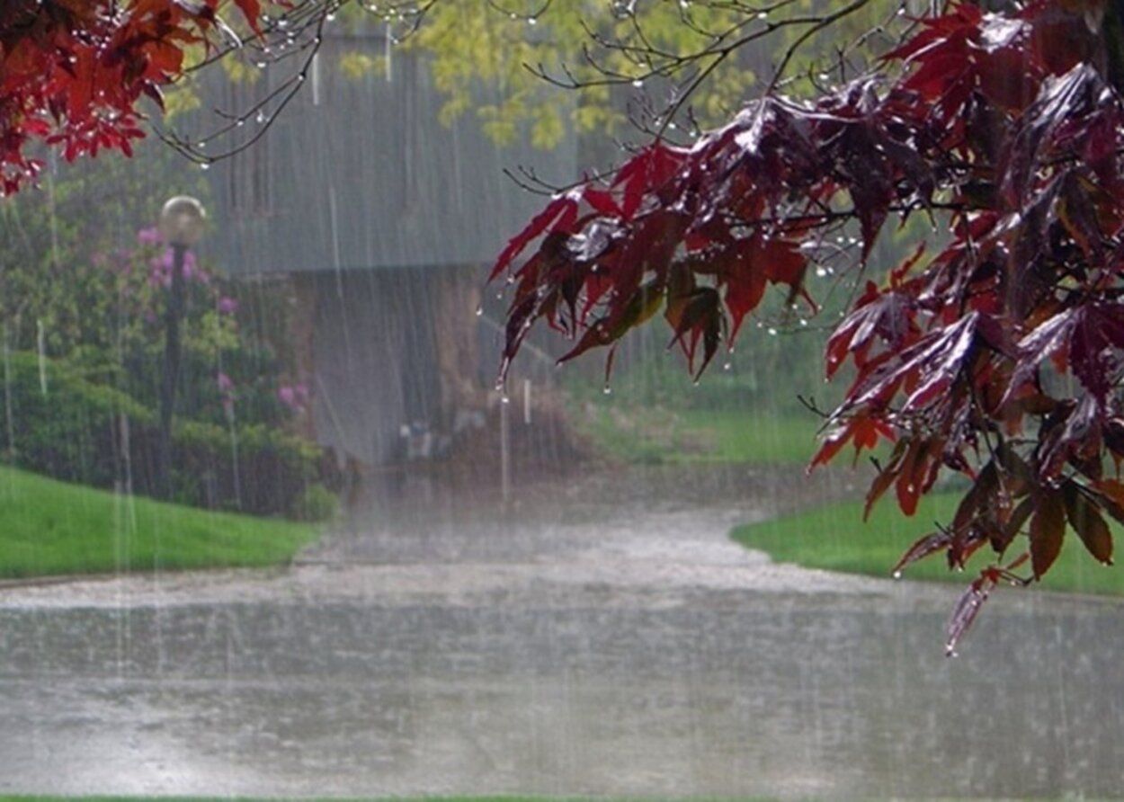 Погода в Україні 2 вересня - в 3 областях на Заході будуть сильні дощі - 24 Канал