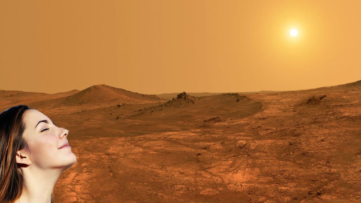 Иллюстративное фото Иллюстративное фото