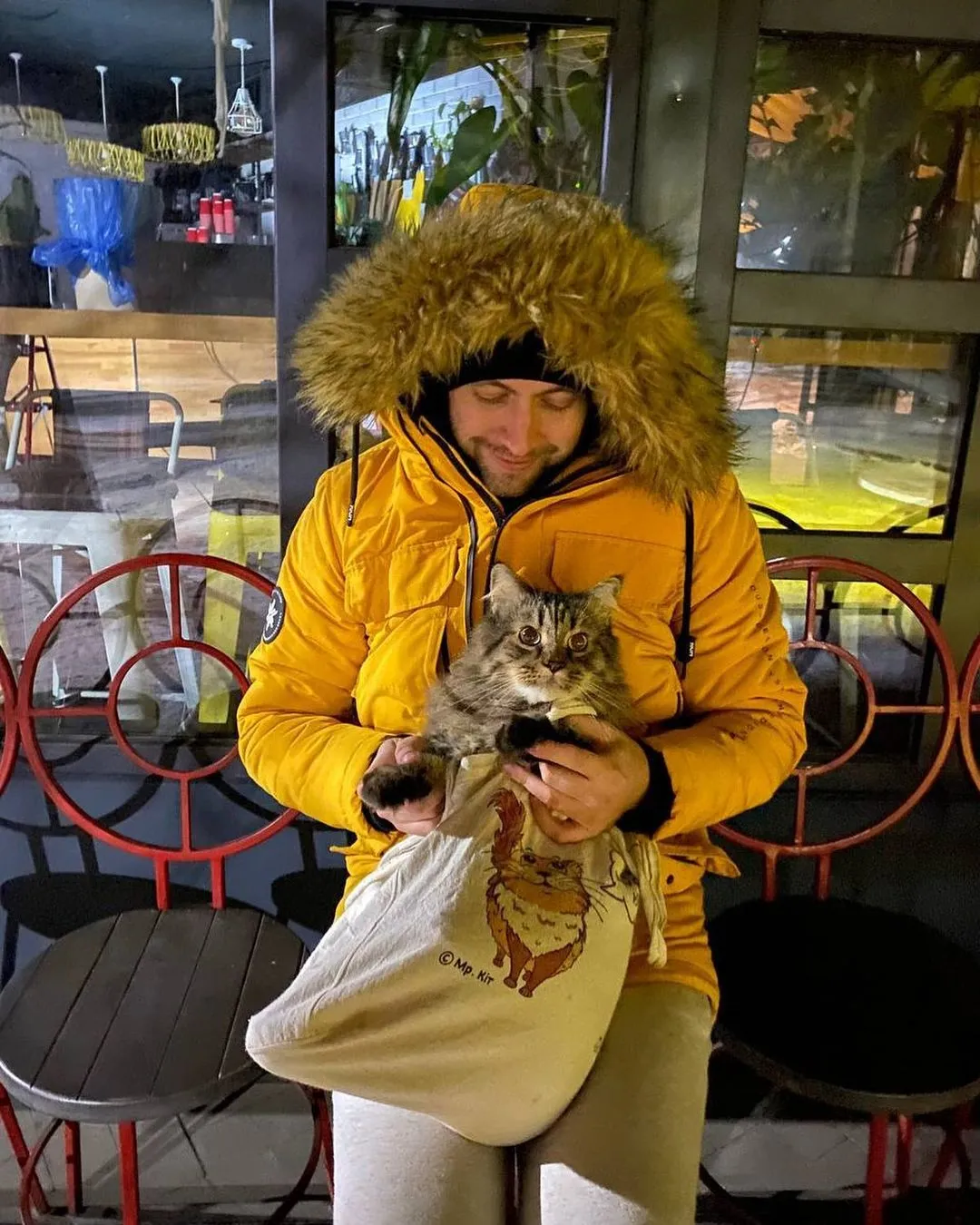 Мистер Кот, в честь которого и назвали кафе Мистер Кот, в честь которого и назвали кафе