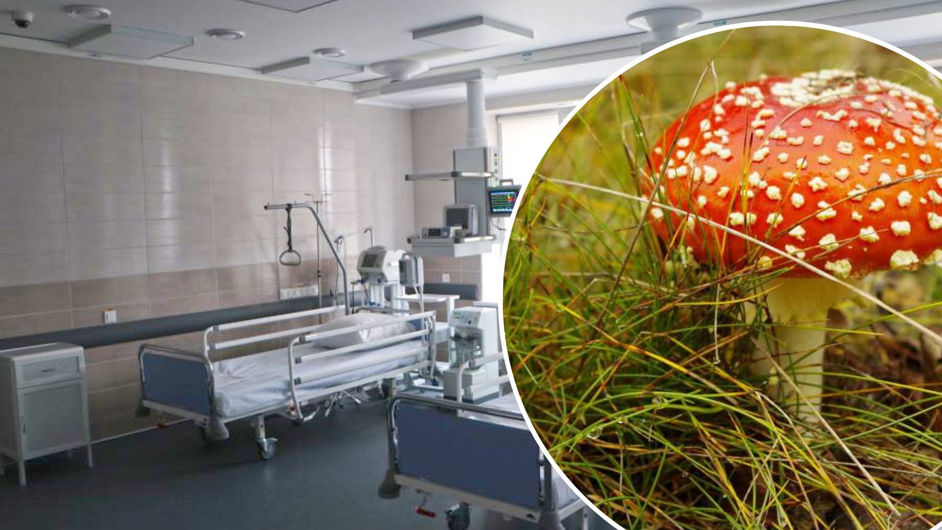 В Винницкой области умерли 2 детей, потому что мать накормила их ядовитыми грибами В Винницкой области умерли 2 детей, потому что мать накормила их ядовитыми грибами