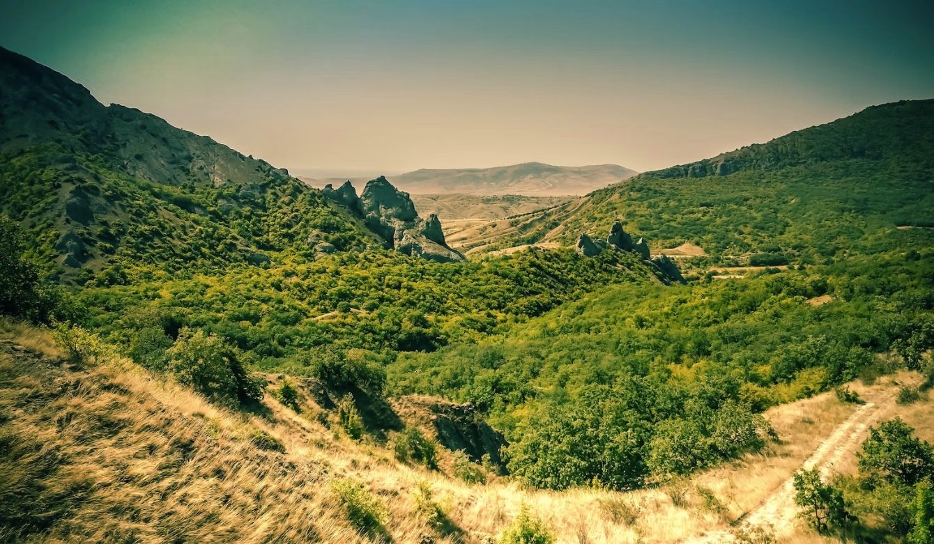 Война России против Украины – россияне хотят раздавать земли в Крыму – новости Украины - 24 Канал Война России против Украины – россияне хотят раздавать земли в Крыму – новости Украины - 24 Канал