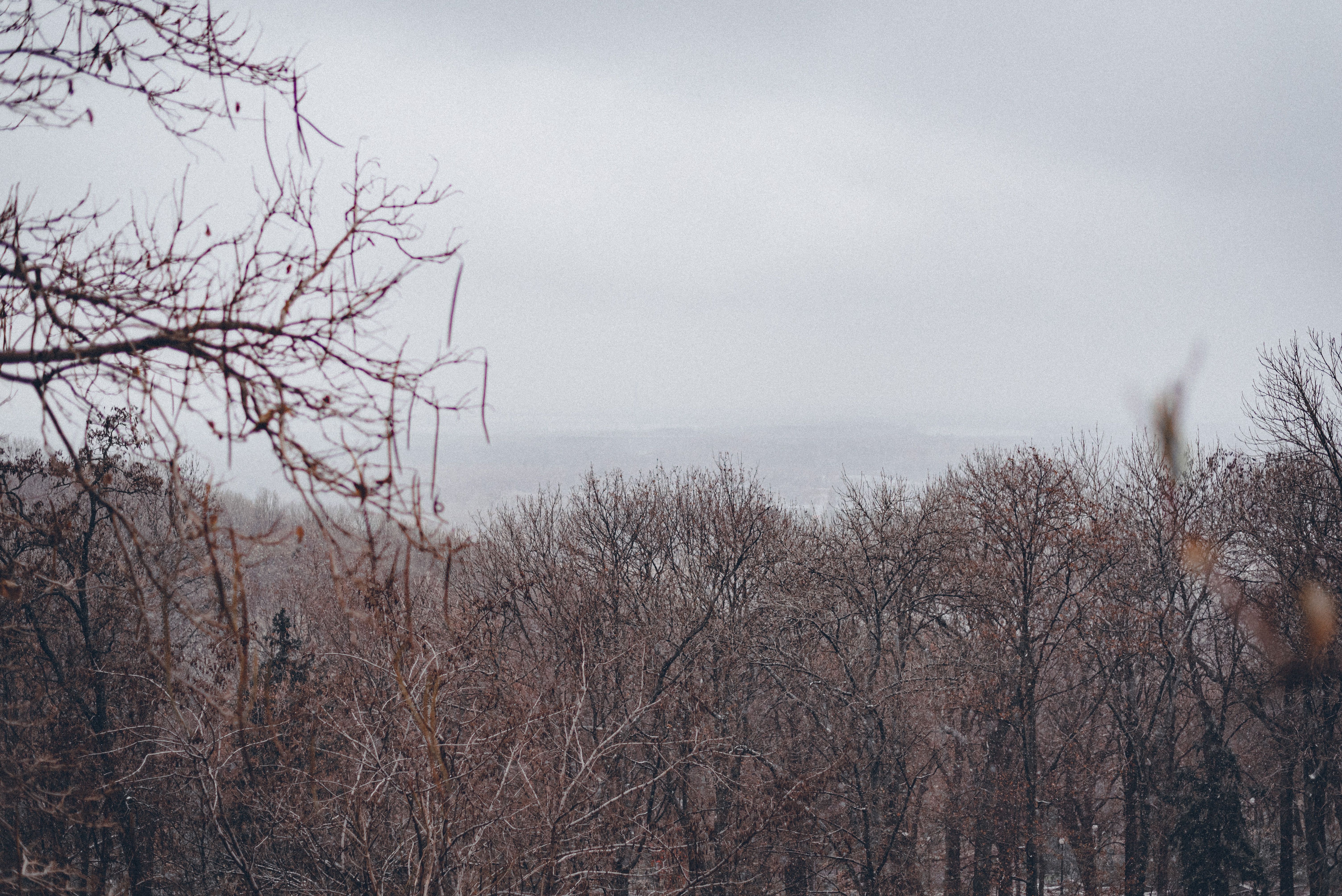 Погода в Україні - коли буде перший сніг цього року Погода в Україні - коли буде перший сніг цього року