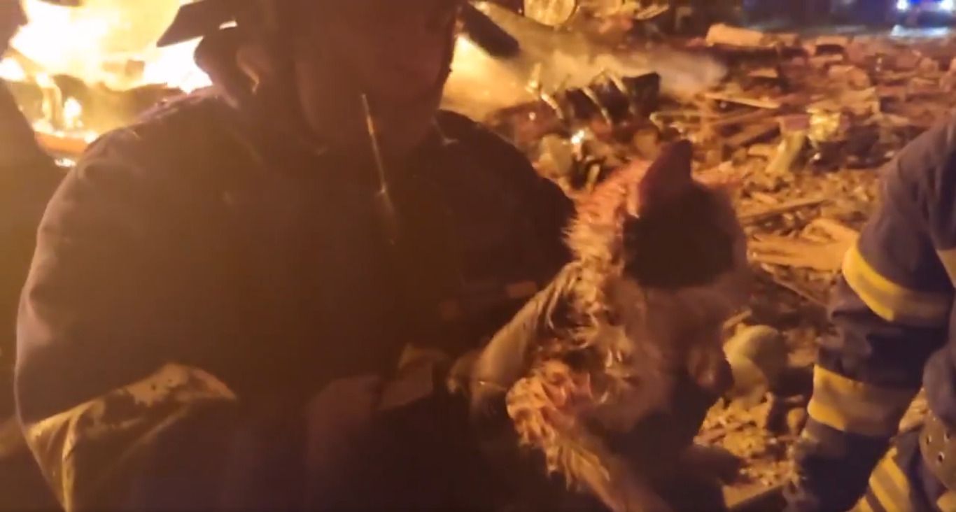 Удар по Харкову 4 вересня - Пожежники врятували кошеня з пожежі в ресторані - 24 Канал Удар по Харкову 4 вересня - Пожежники врятували кошеня з пожежі в ресторані - 24 Канал