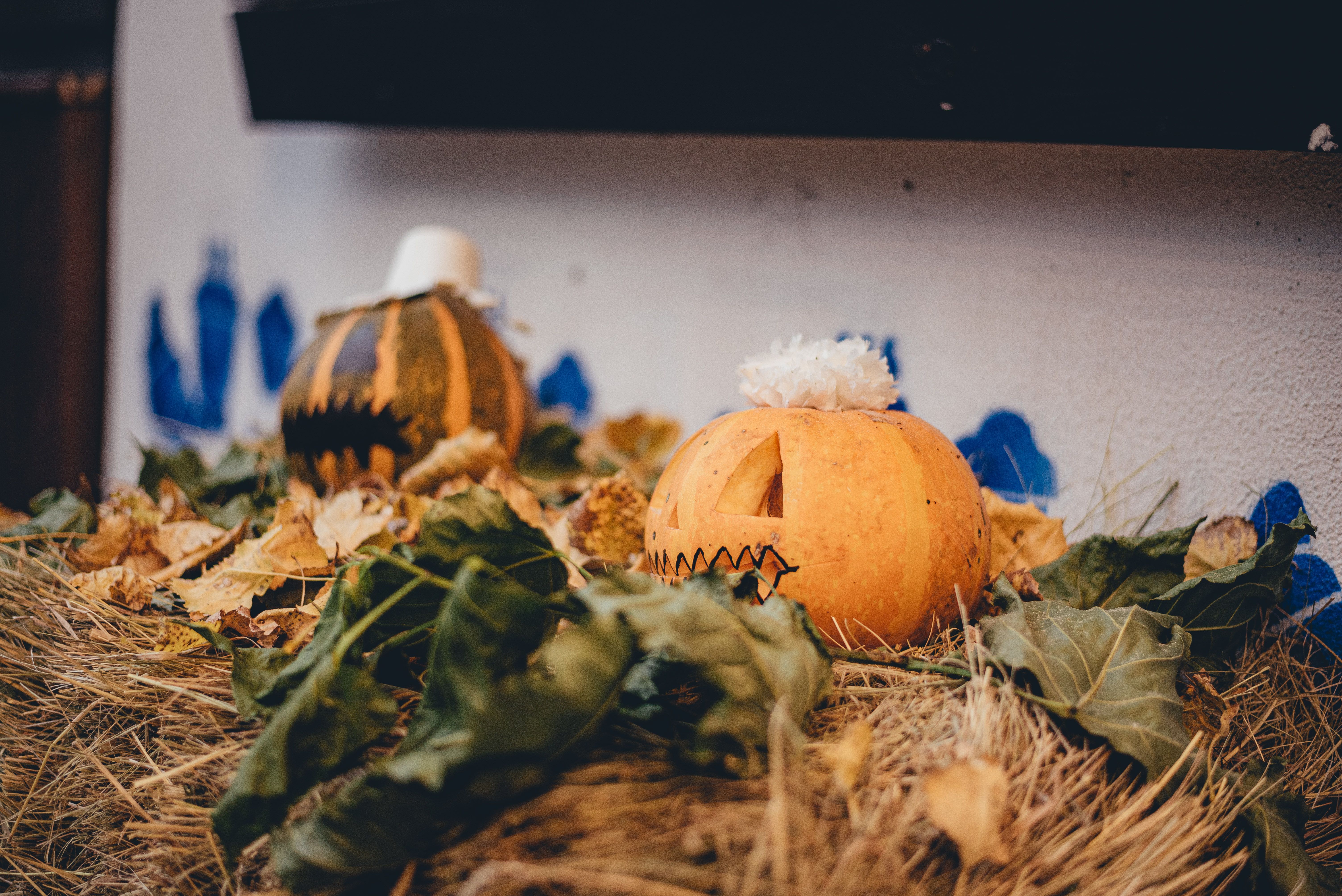 Коли в Україну прийде бабине літо - що кажуть синоптики про погоду Коли в Україну прийде бабине літо - що кажуть синоптики про погоду