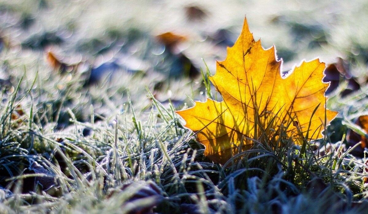 Прогноз погоды на 06.09.2022 – в Украине будут первые заморозки Прогноз погоды на 06.09.2022 – в Украине будут первые заморозки