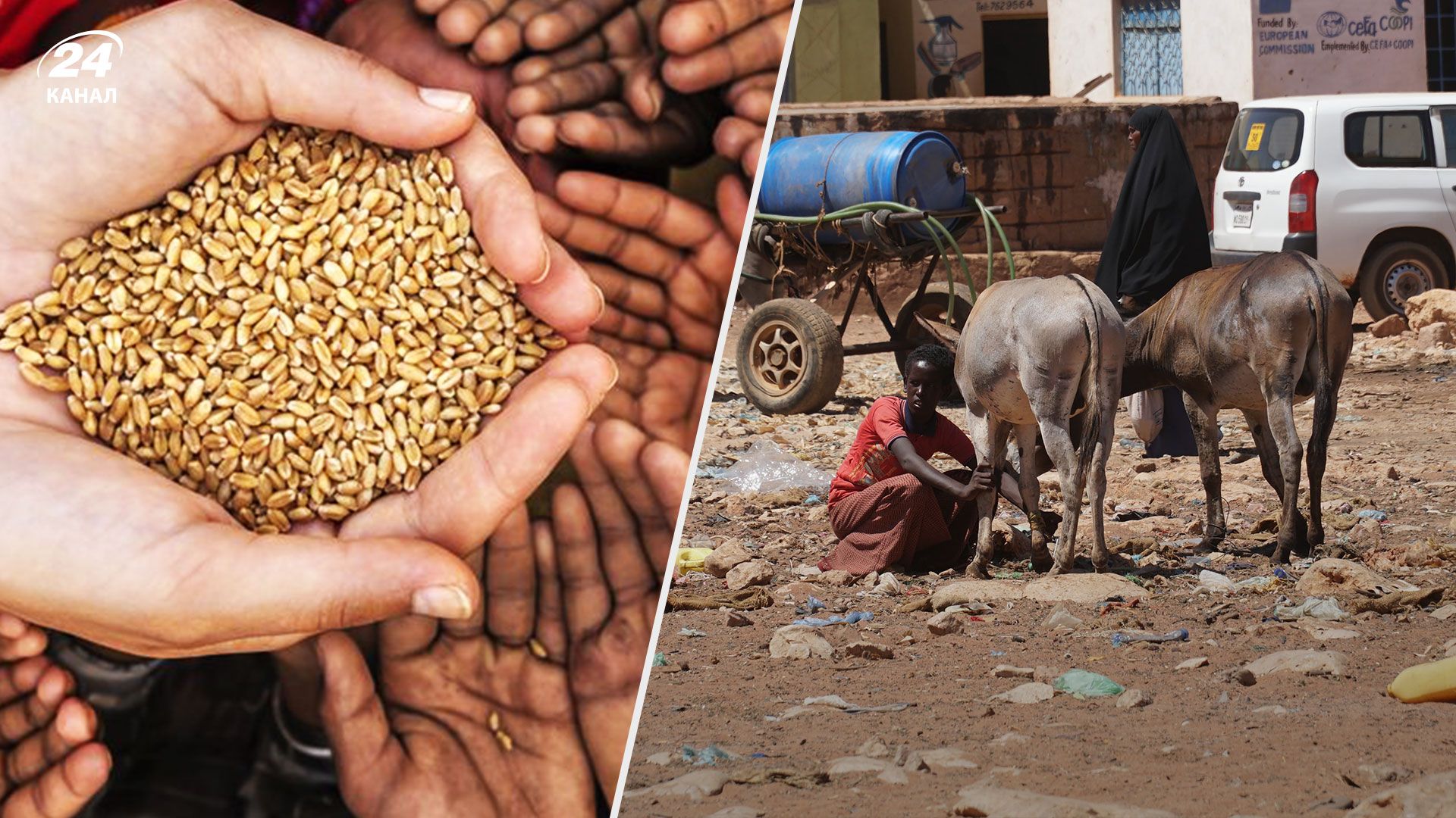 из-за войны в Украине, африканские страны страдают от голода