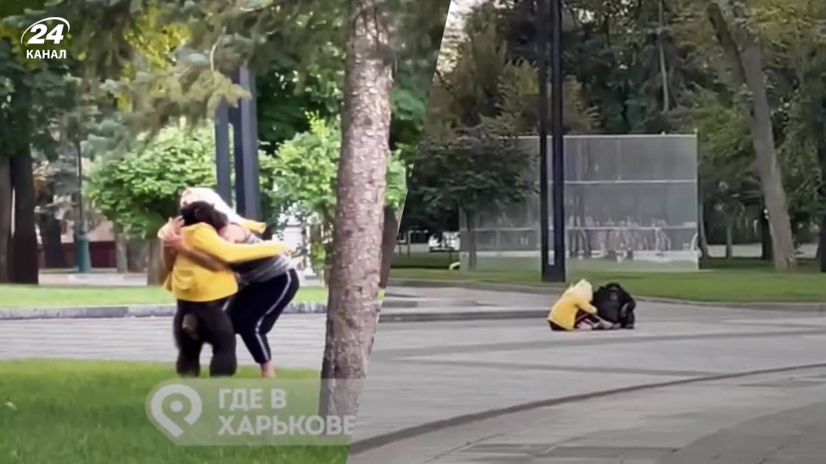 Из Харьковского зоопарка сбежала обезьяна: горожане одели ее, чтобы не замерзла - 24 Канал Из Харьковского зоопарка сбежала обезьяна: горожане одели ее, чтобы не замерзла - 24 Канал