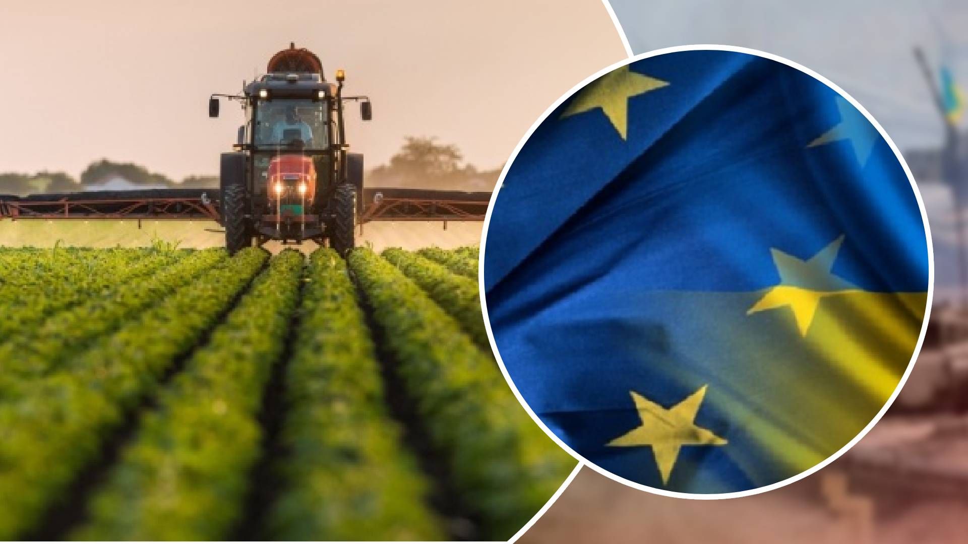 ЄС надасть допомогу українським фермерам - кому саме та скільки - 24 Канал
