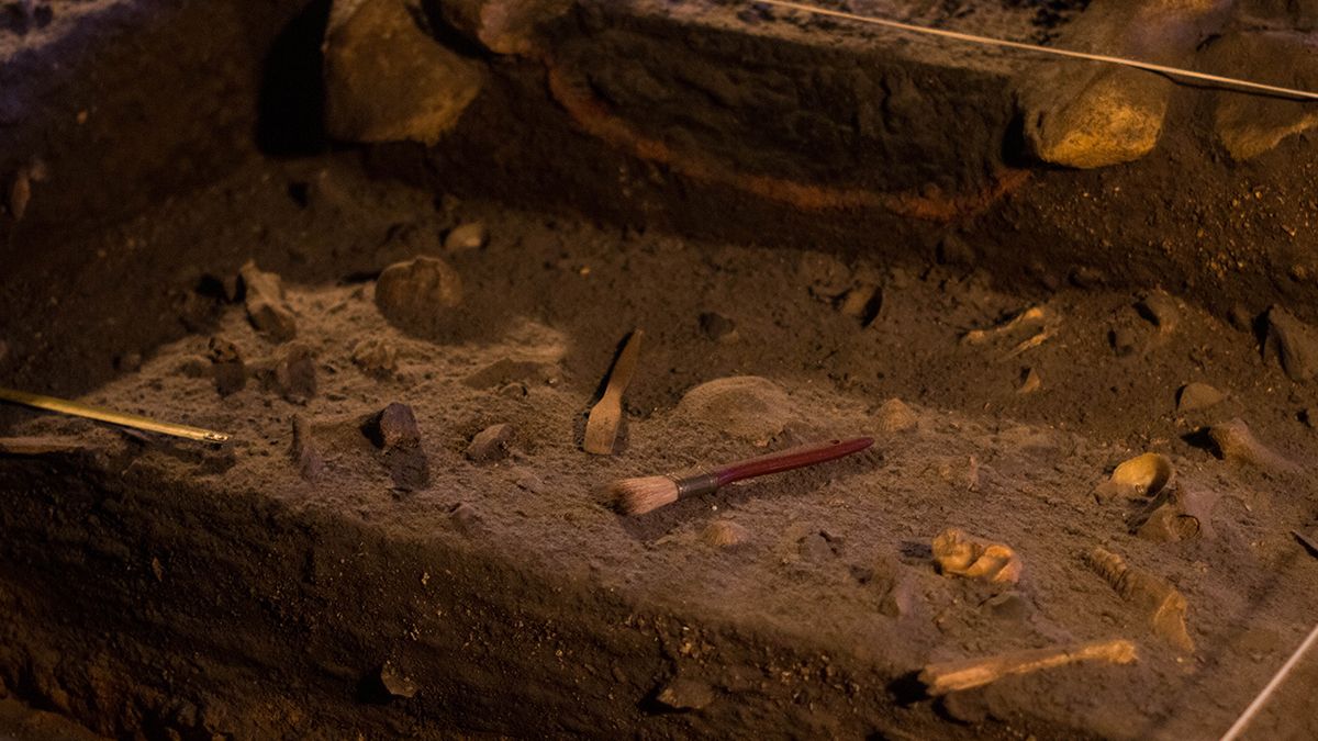У Польщі розкопали старовинну могилу жінки, яку вважали вампіром - Техно
