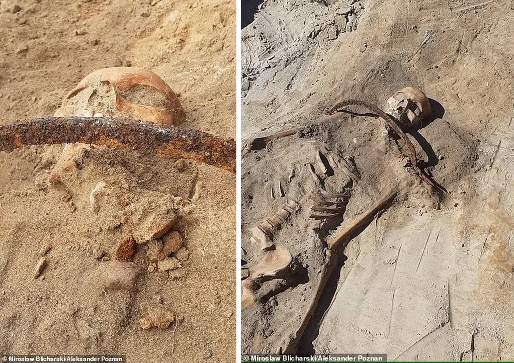 Череп жінки з серпом, перекинутим через шию Череп жінки з серпом, перекинутим через шию