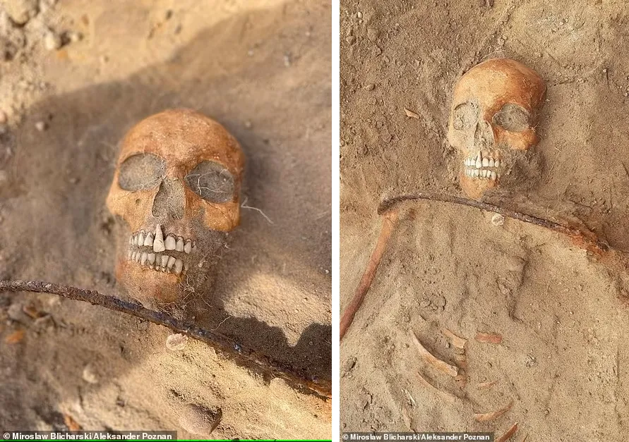 Череп жінки з серпом, перекинутим через шию Череп жінки з серпом, перекинутим через шию