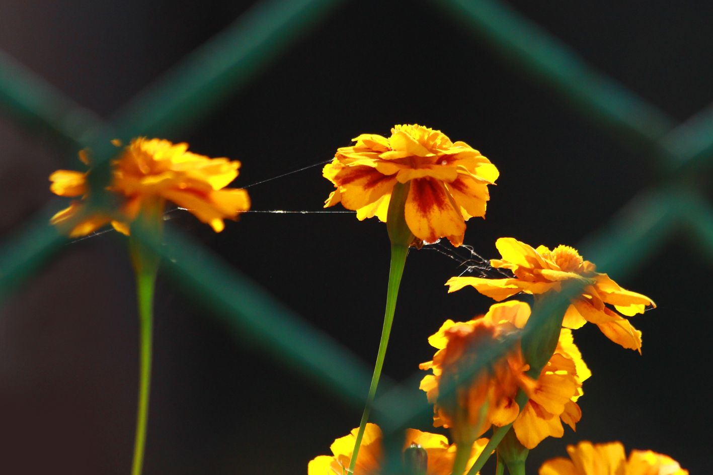 Прогноз погоды в Украине на 7 сентября - что говорят синоптики Прогноз погоды в Украине на 7 сентября - что говорят синоптики