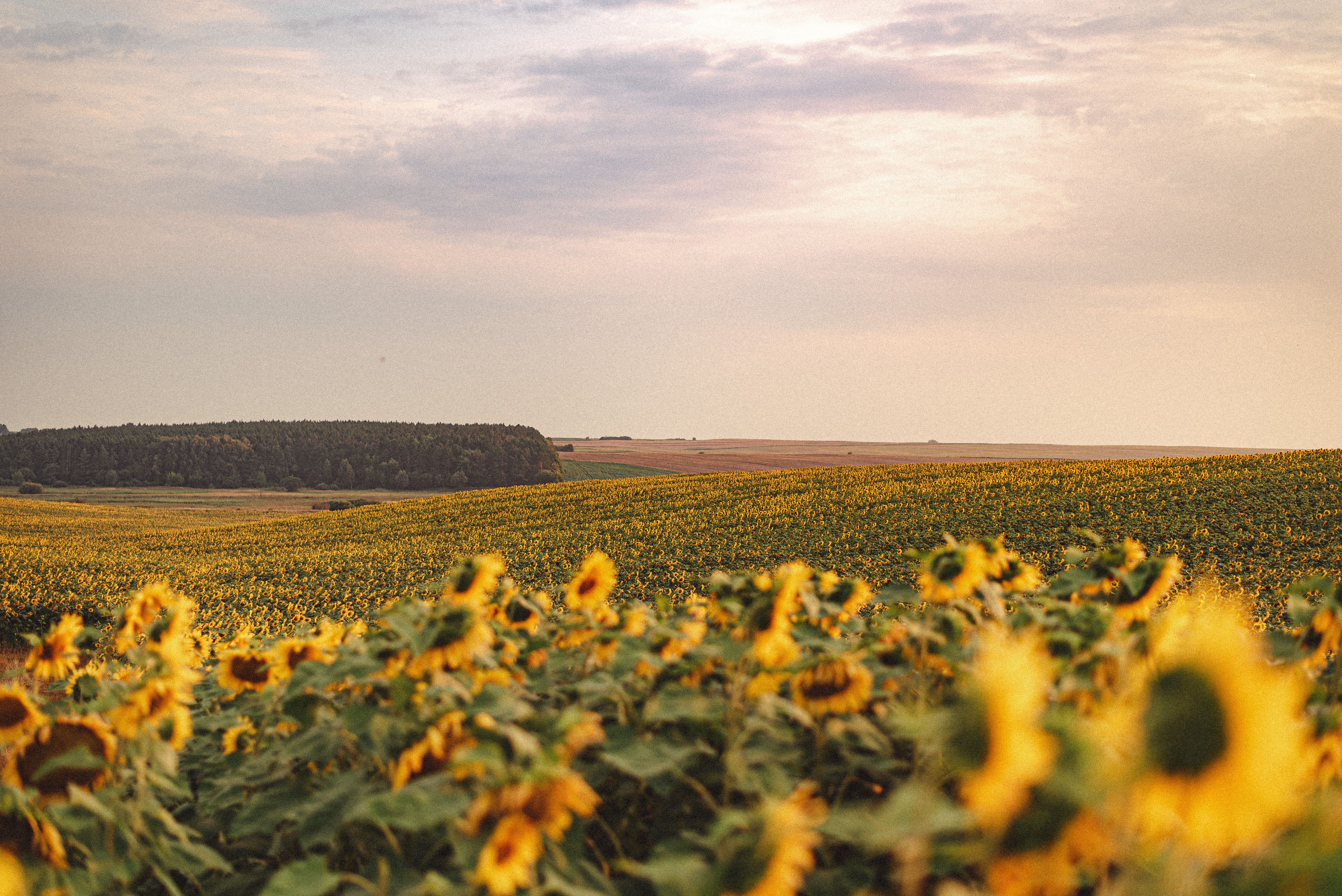 Погода в Украине – лето возвращается, синоптики обещают жару в сентябре Погода в Украине – лето возвращается, синоптики обещают жару в сентябре
