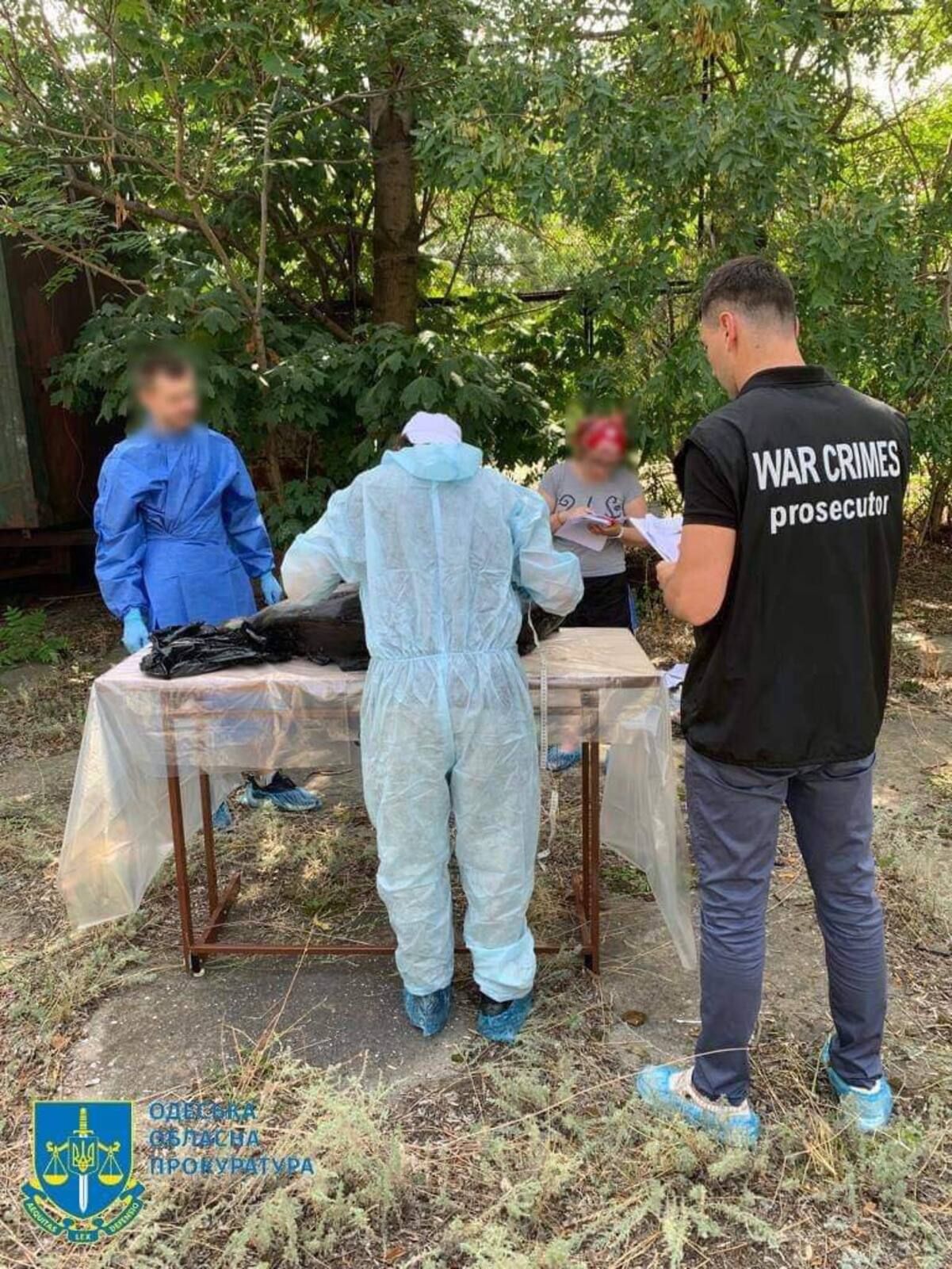 Загибель дельфінів у Чорному морі Загибель дельфінів у Чорному морі