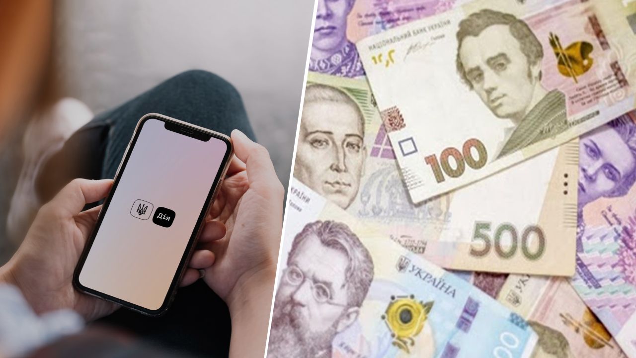 Выплаты ВПЛ через Дію – в чем возникли проблемы Выплаты ВПЛ через Дію – в чем возникли проблемы