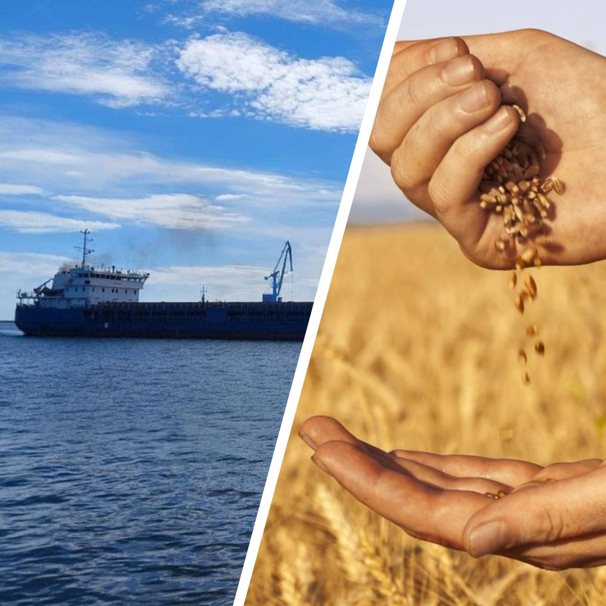 Українське зерно - як капітани російських суден перевозили зерно