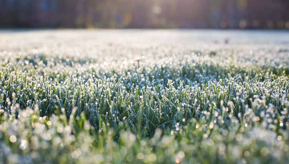 Михайлове диво 2022 Михайлове диво 2022