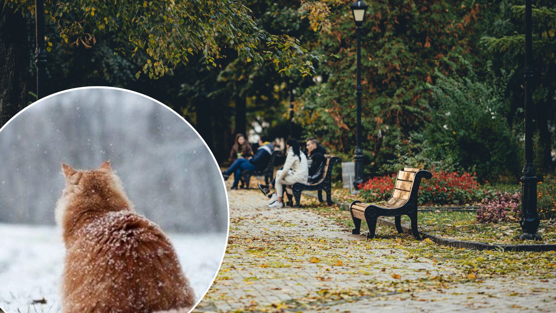 Снег в Украине выпадет уже в сентябре – где и когда Снег в Украине выпадет уже в сентябре – где и когда