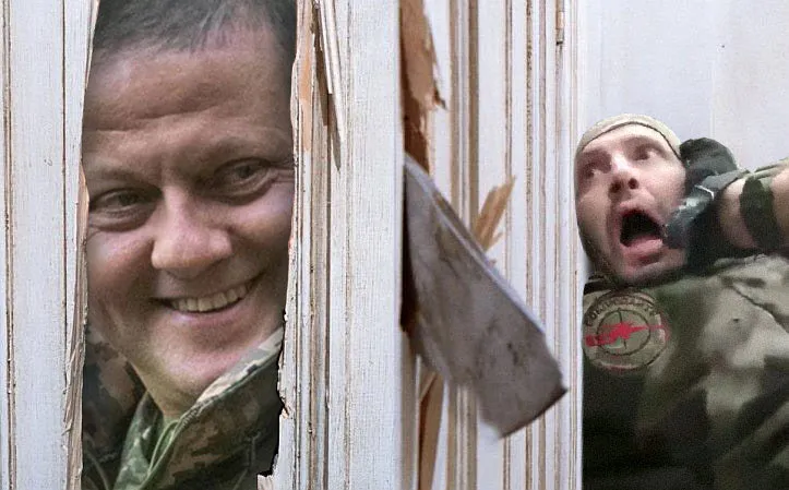 Паники нет Паники нет