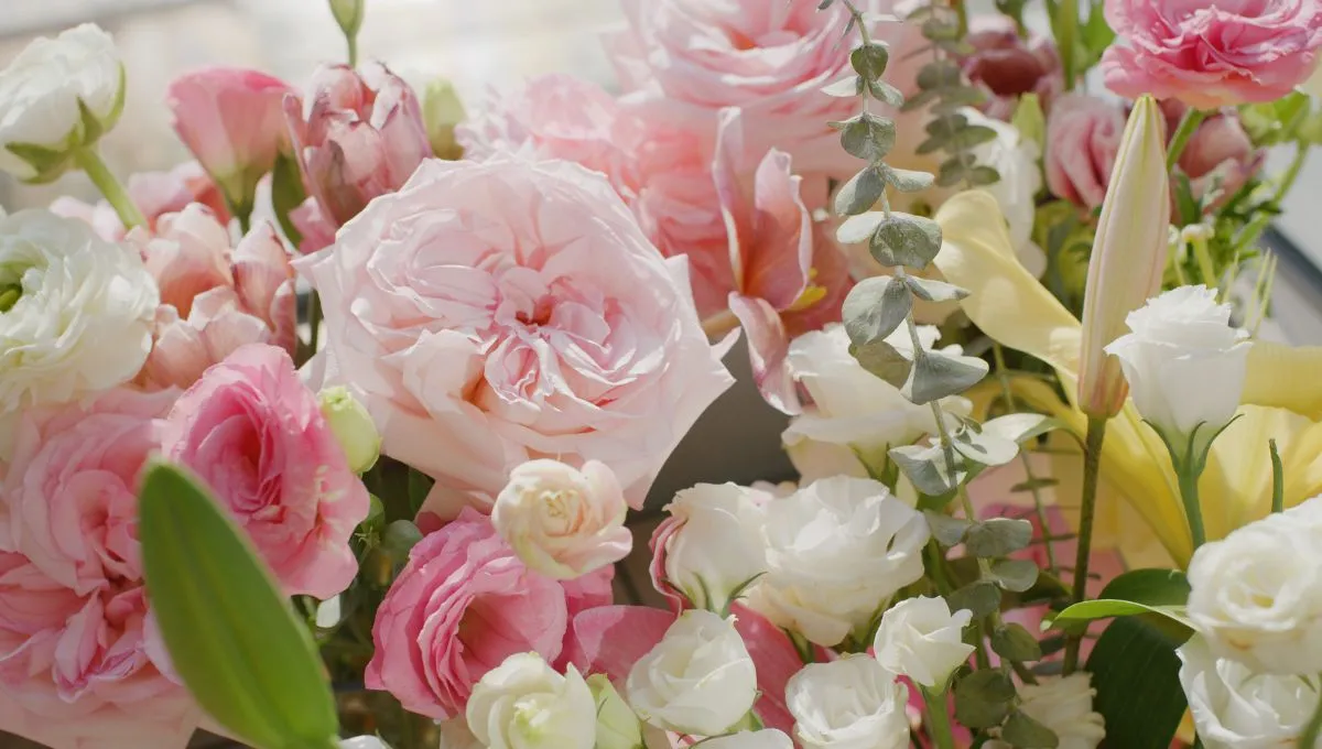 День ангела Марии День ангела Марии