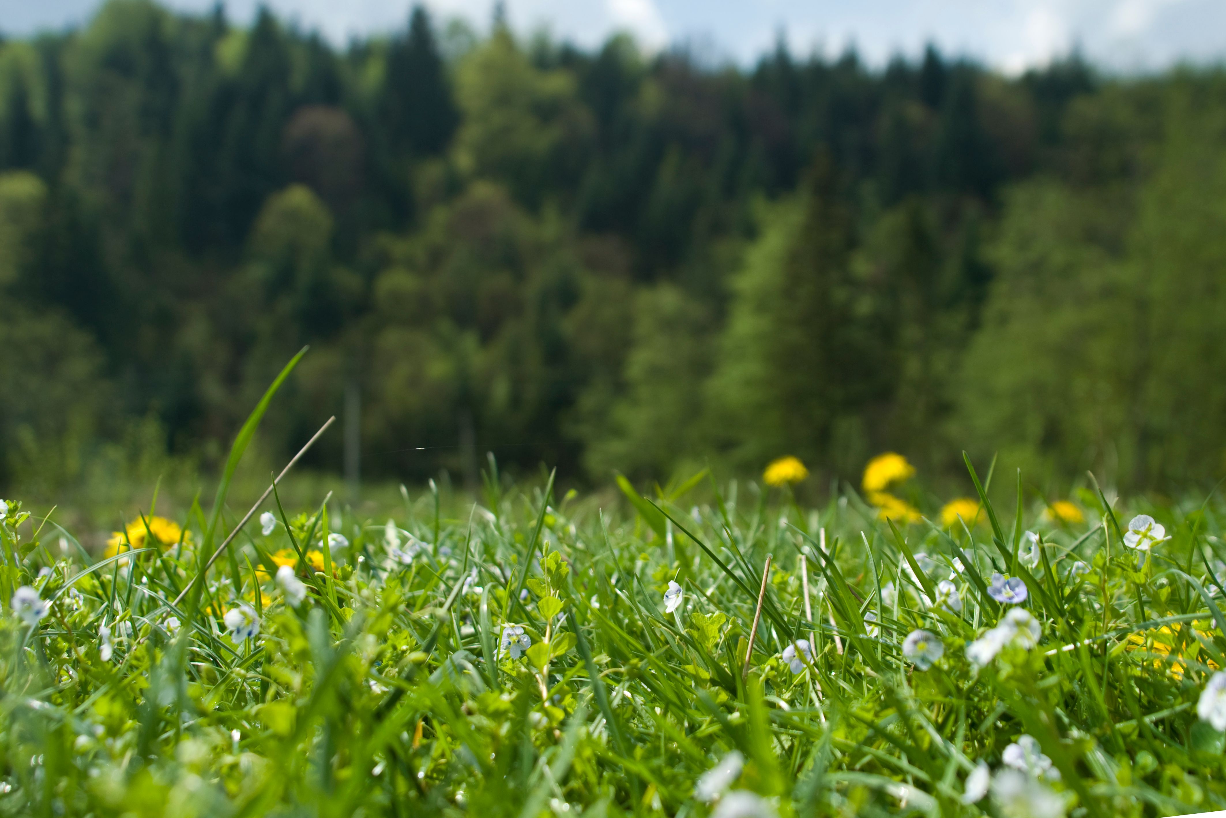 Погода в Украине – среди сентября Юг накроет мощная жара Погода в Украине – среди сентября Юг накроет мощная жара