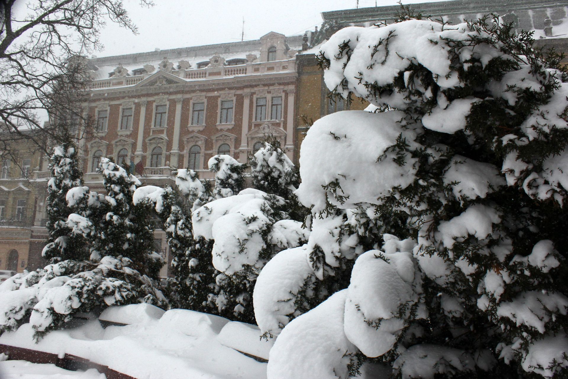 Погода в Україні - народний синоптик попередив про сніжний циклон