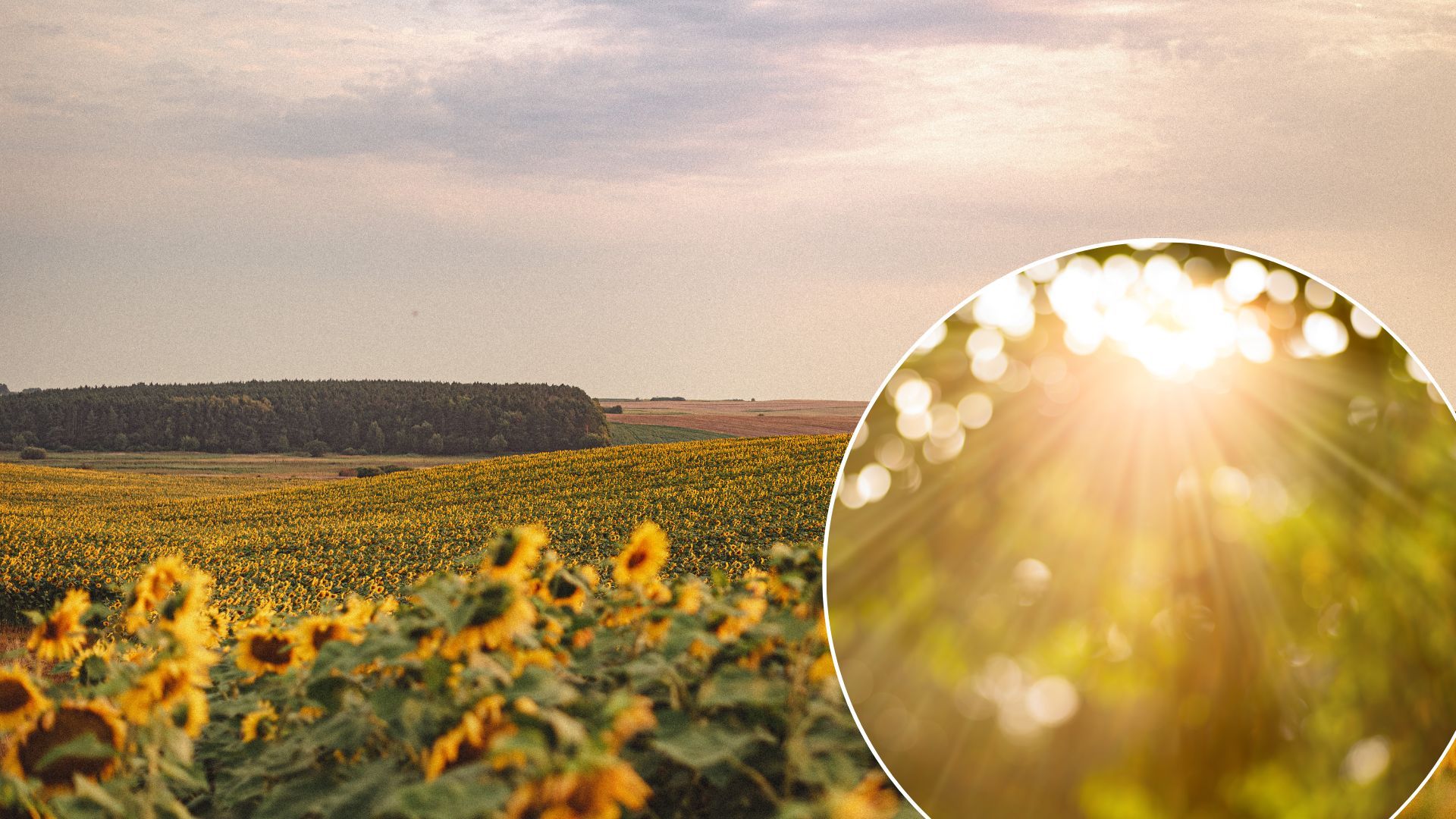 Погода в Україні 16 вересня - Південь накриє спека Погода в Україні 16 вересня - Південь накриє спека