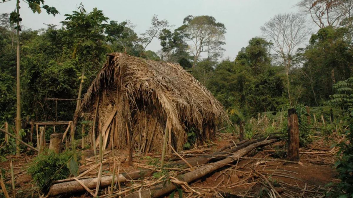 Человек из дыры – последний представитель истребленного племени умер в Амазонских джунглях - Техно