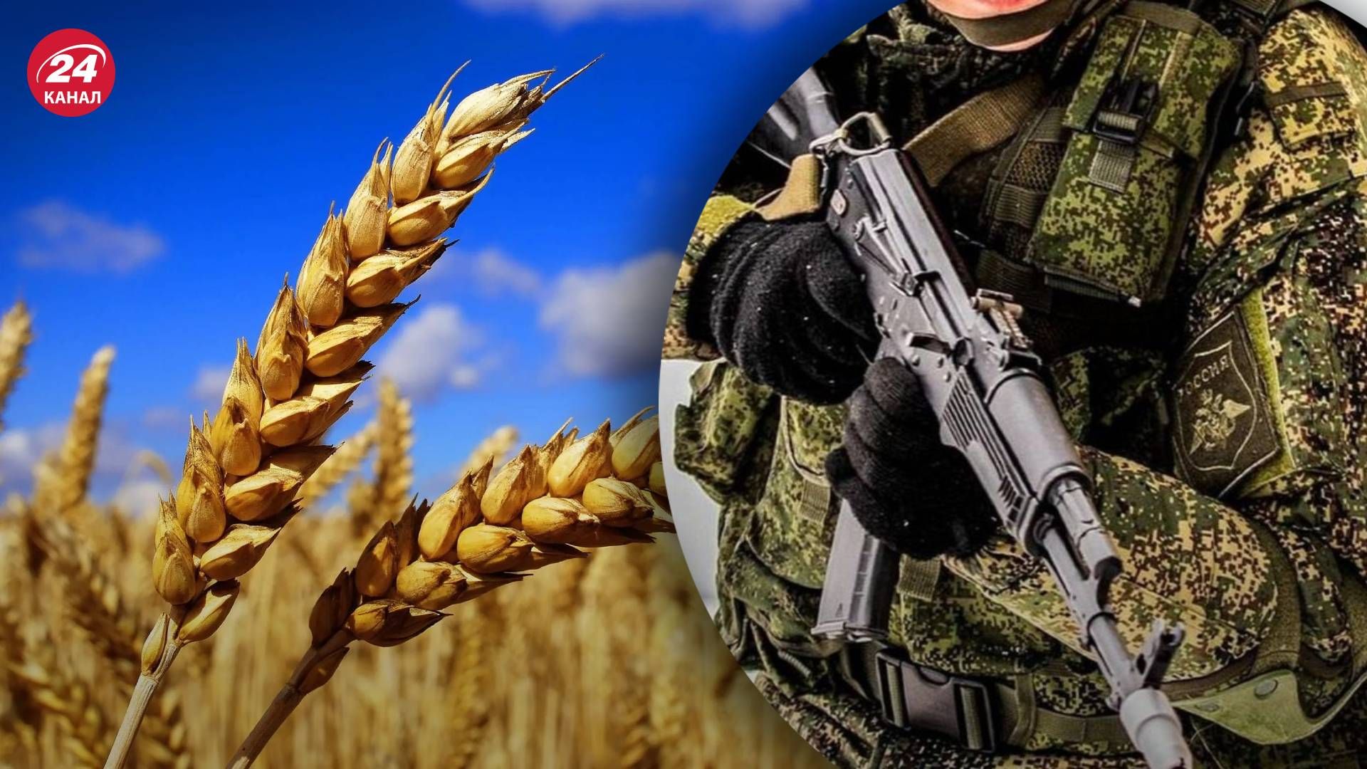 Росія знищила 10 мільйонів тонн українського зерна