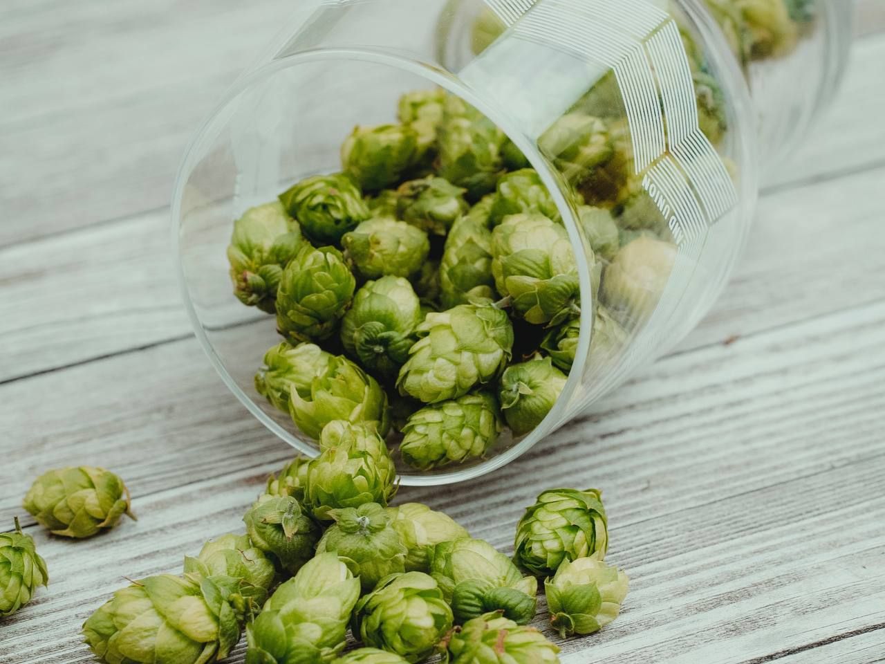 Из-за санкций россияне закупают хмель не в Германии, а в Чувашии. Из-за санкций россияне закупают хмель не в Германии, а в Чувашии.