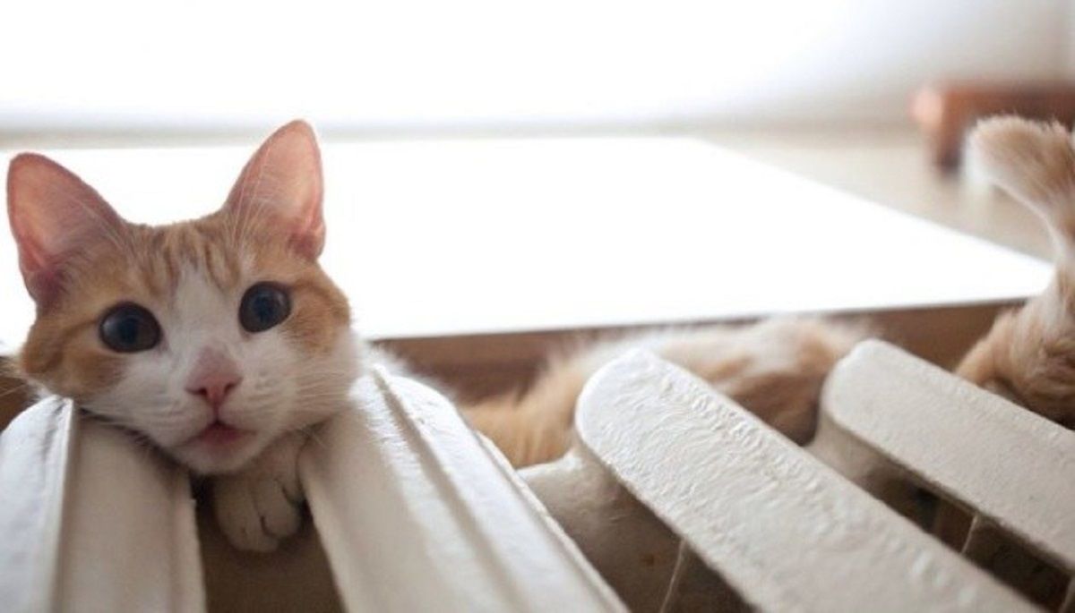 Украина уже на 80% готова к отопительному сезону Украина уже на 80% готова к отопительному сезону