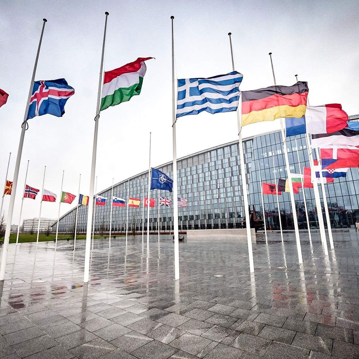 Какие страны и почему до сих пор не ратифицировали вступление Финляндии и Швеции в НАТО. Какие страны и почему до сих пор не ратифицировали вступление Финляндии и Швеции в НАТО.