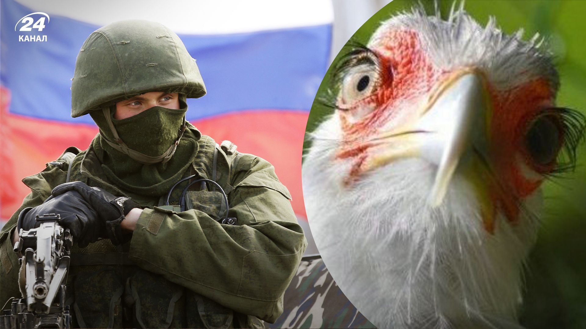 Окупант зізнався у мародерстві Окупант зізнався у мародерстві