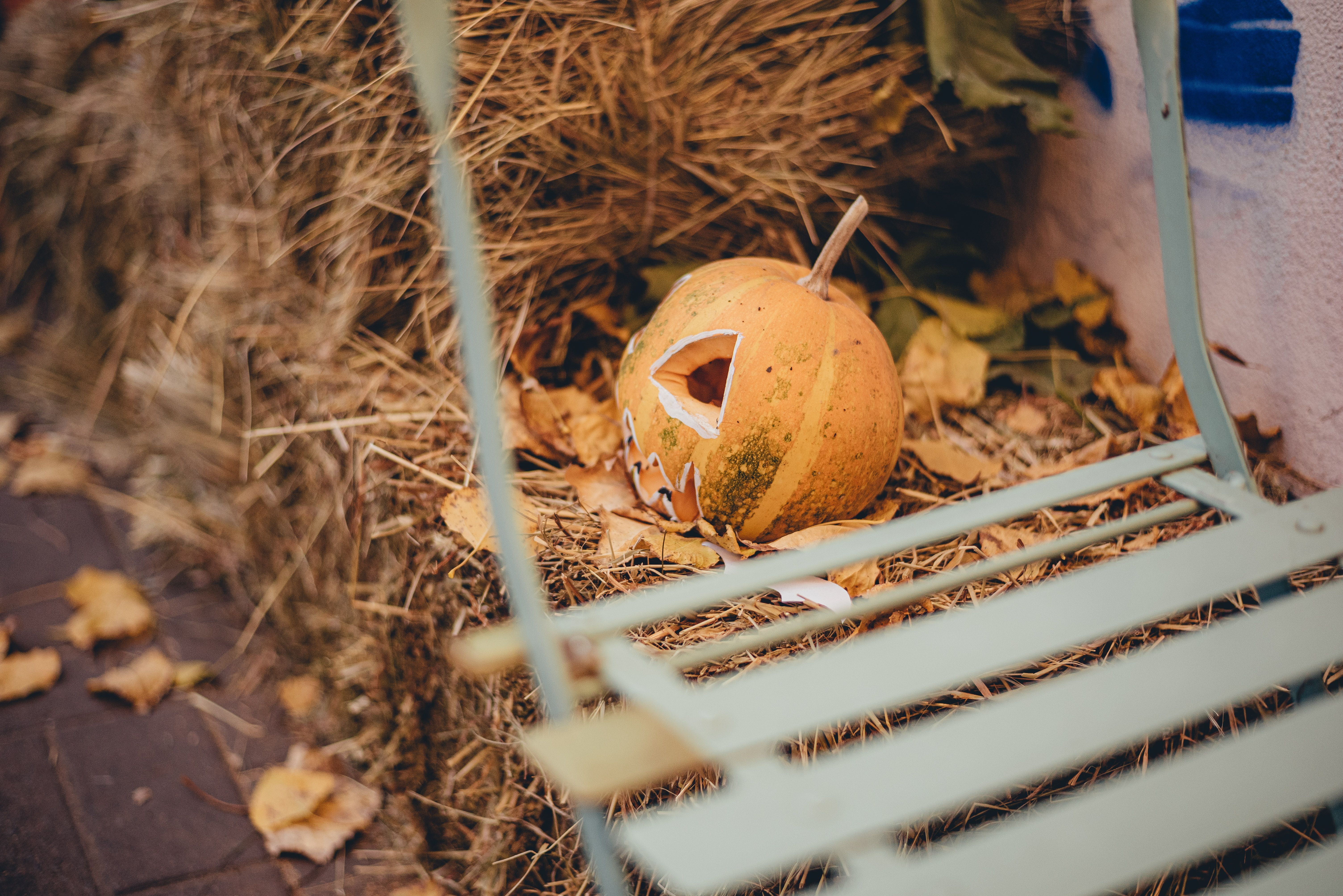 Какая будет погода в Украине в октябре - прогноз от синоптиков Какая будет погода в Украине в октябре - прогноз от синоптиков