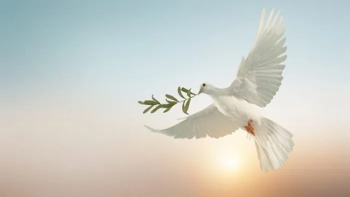 День мира 2022 День мира 2022