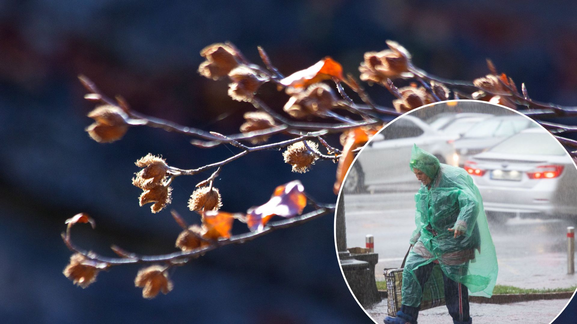 Погода в Украине – надвигается антицкилон с мокрым снегом и дождем. Погода в Украине – надвигается антицкилон с мокрым снегом и дождем.