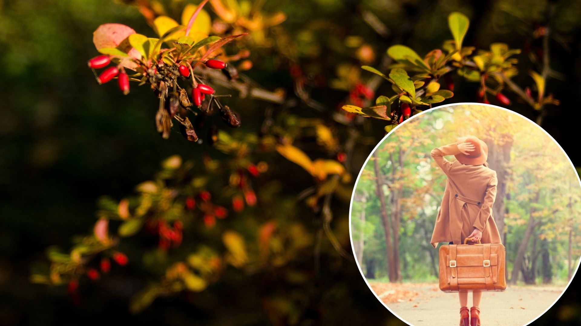 Погода в Украине резко потеплеет в сентябре - температура поднимется до +25 градусов Погода в Украине резко потеплеет в сентябре - температура поднимется до +25 градусов