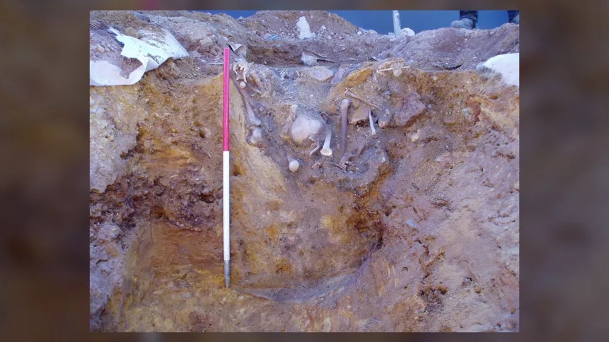 Археологи разгадали тайну происхождения 17 останков из средневекового колодца - Техно