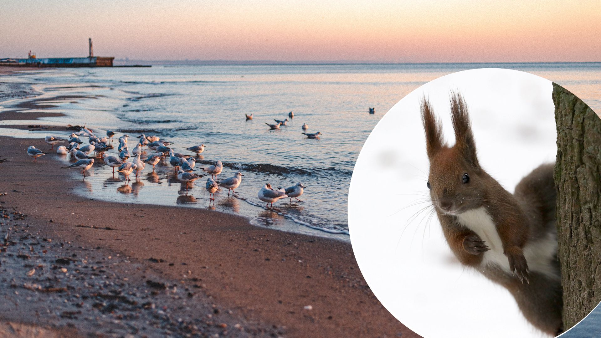 Погода в Украине – на Юге выпадет снег и ударят морозы Погода в Украине – на Юге выпадет снег и ударят морозы